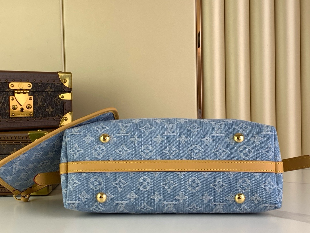 LV Carryall pm handbag