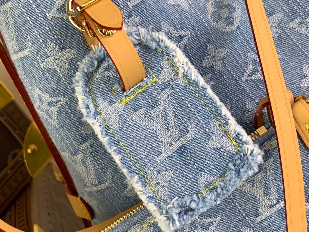 LV Carryall pm handbag