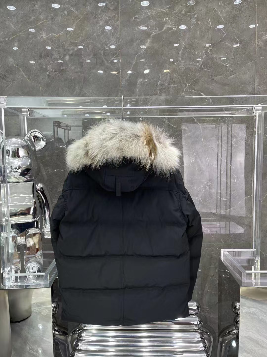 CANADA GOOSE down jacket