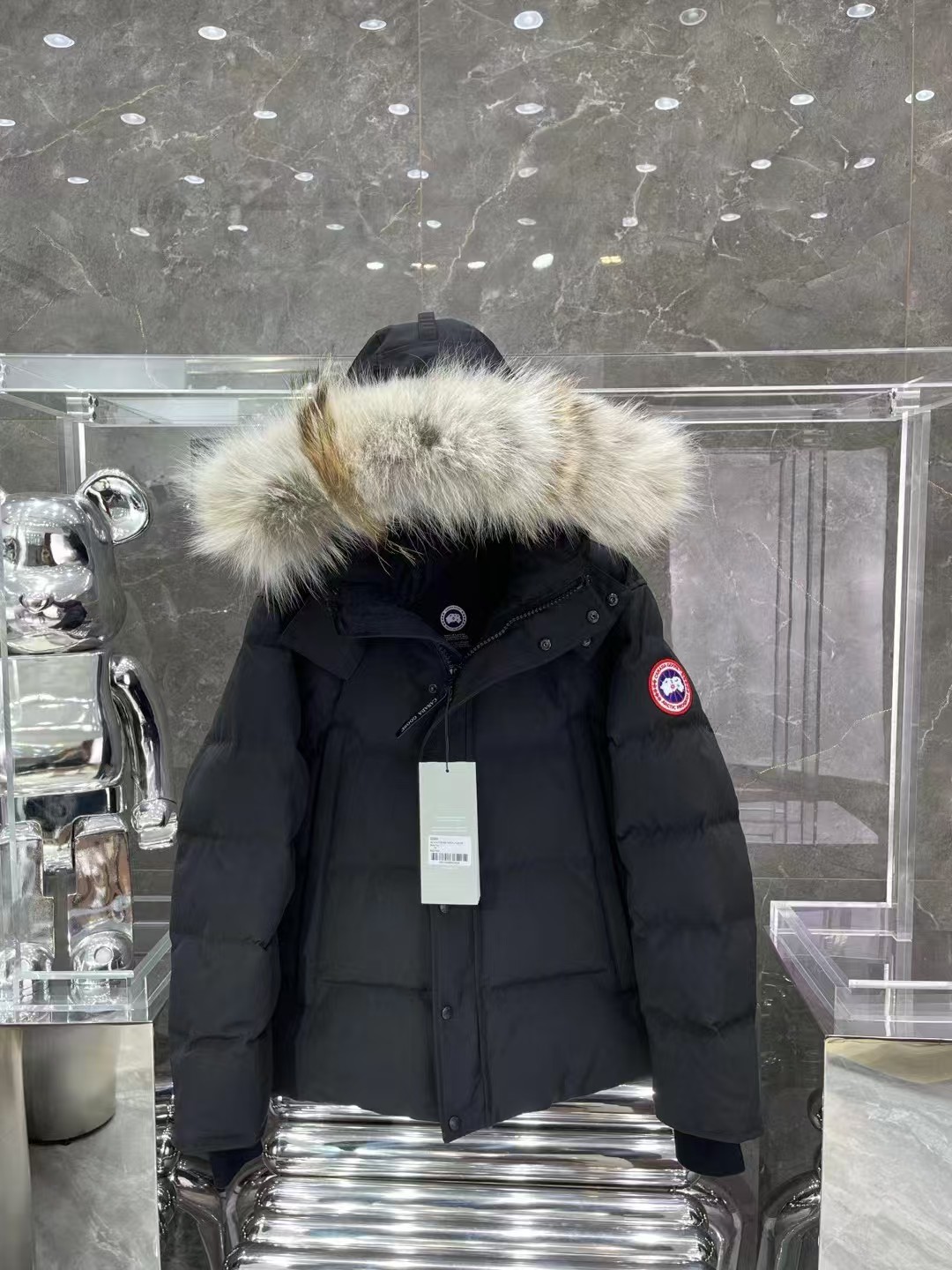 CANADA GOOSE down jacket