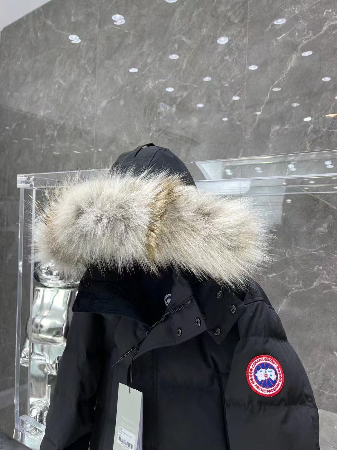 CANADA GOOSE down jacket