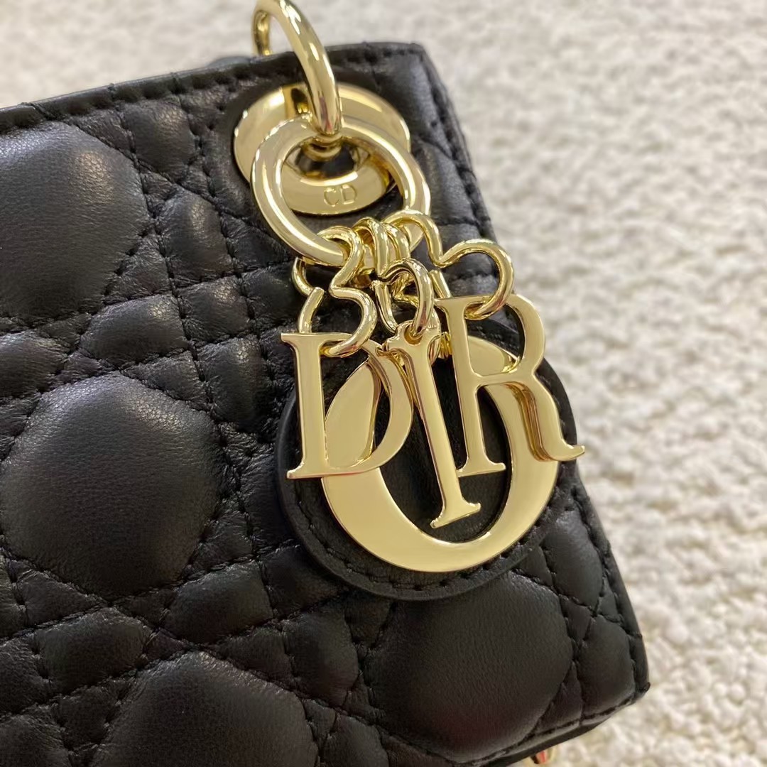 DIOR micro lady Bags