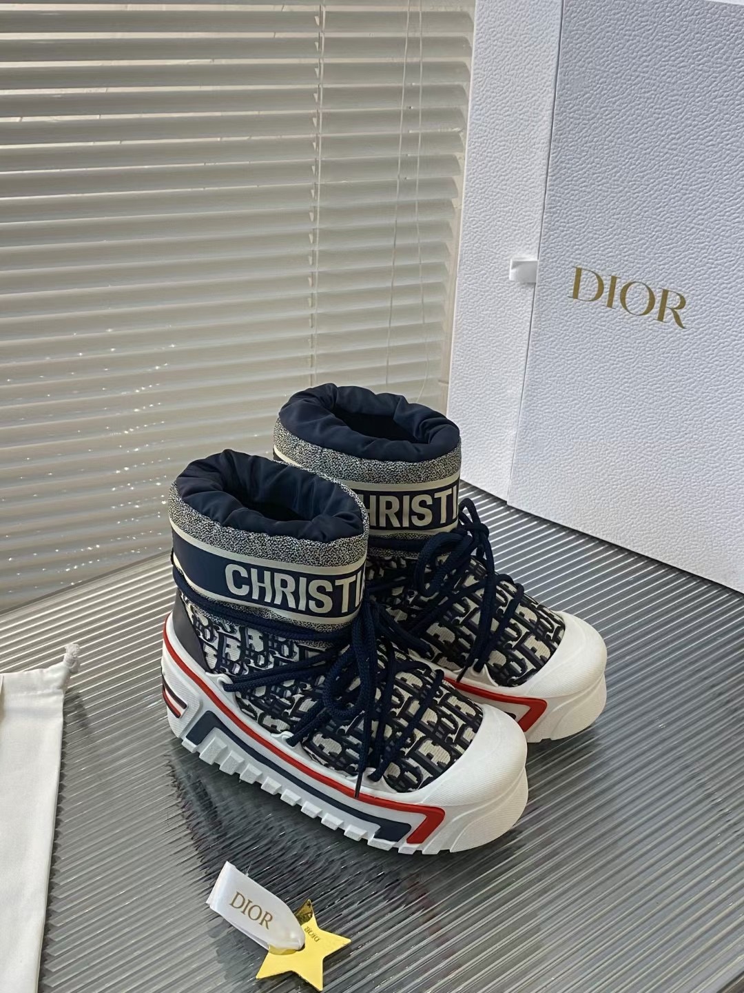 DIOR ALPS SNOW BOOTS