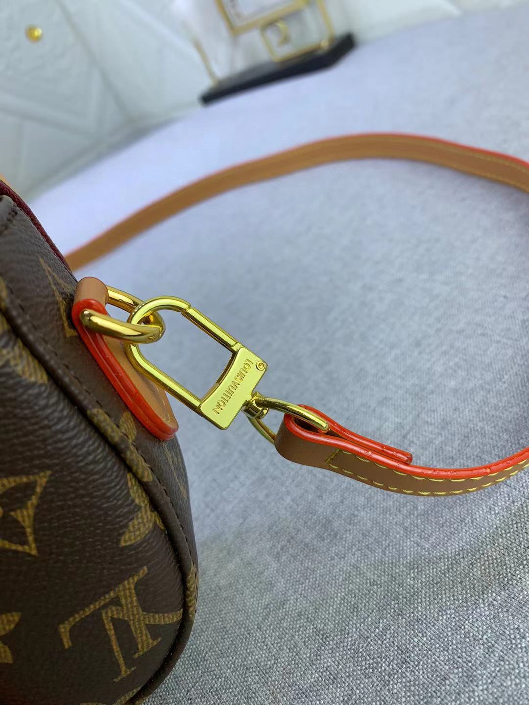 LV mini bag