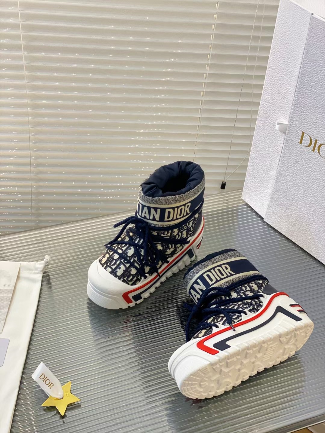DIOR ALPS SNOW BOOTS