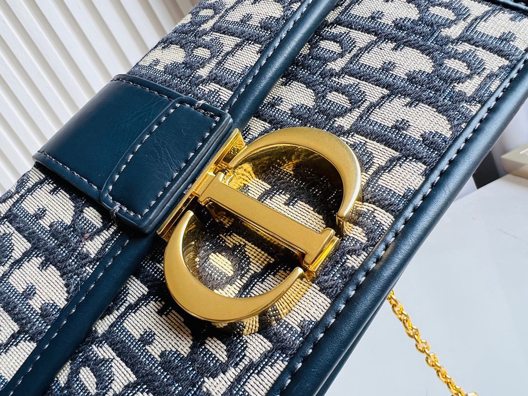 DIOR MONTAIGNE Chain Bag