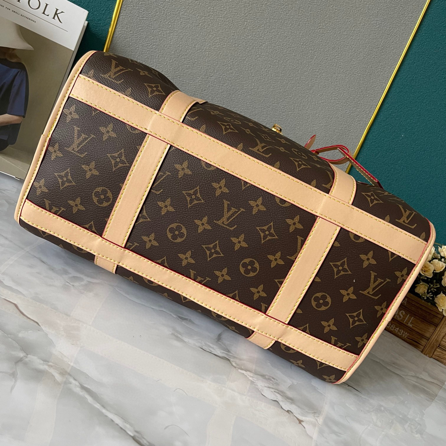 LV Dog carrier