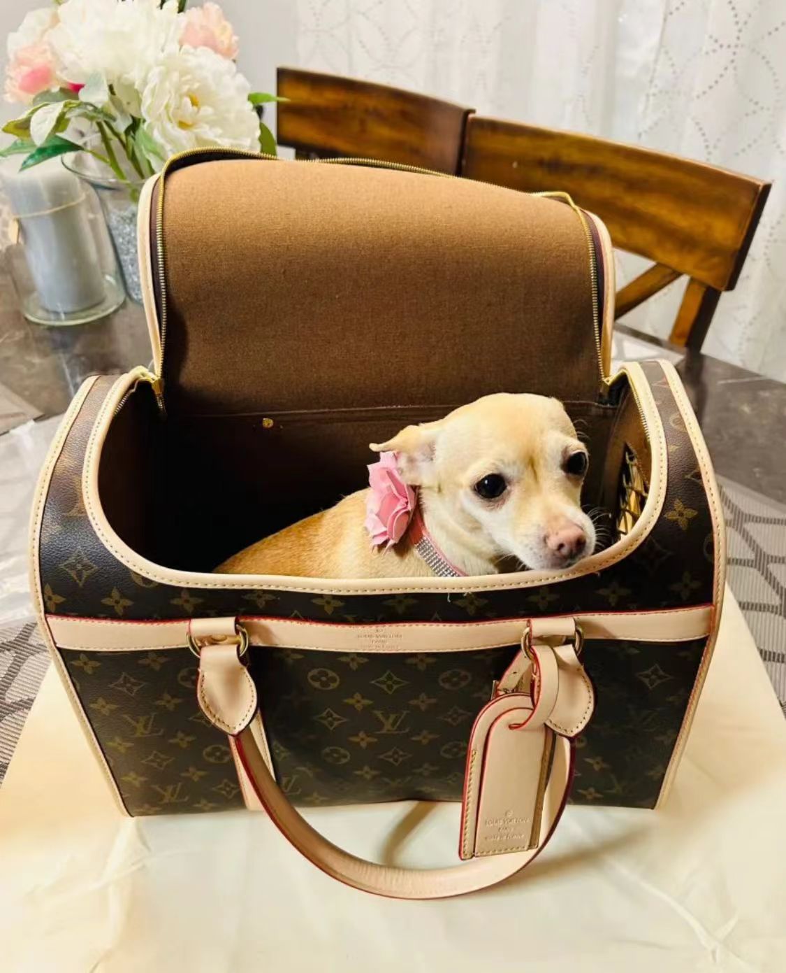 LV Dog carrier