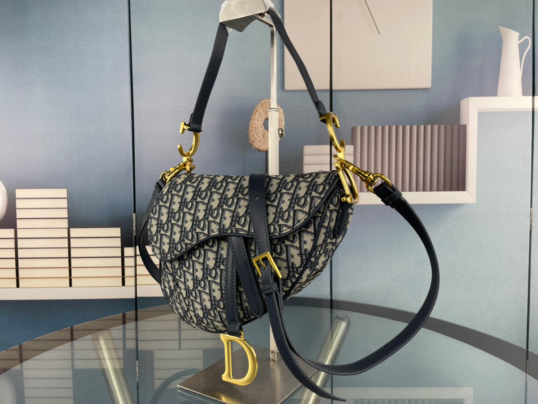 DIOR Saddle Bag