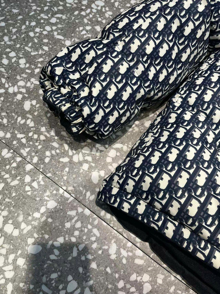DIOR Down Jacket