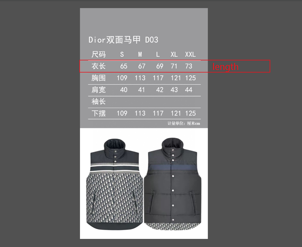 DIOR Reversible Vest