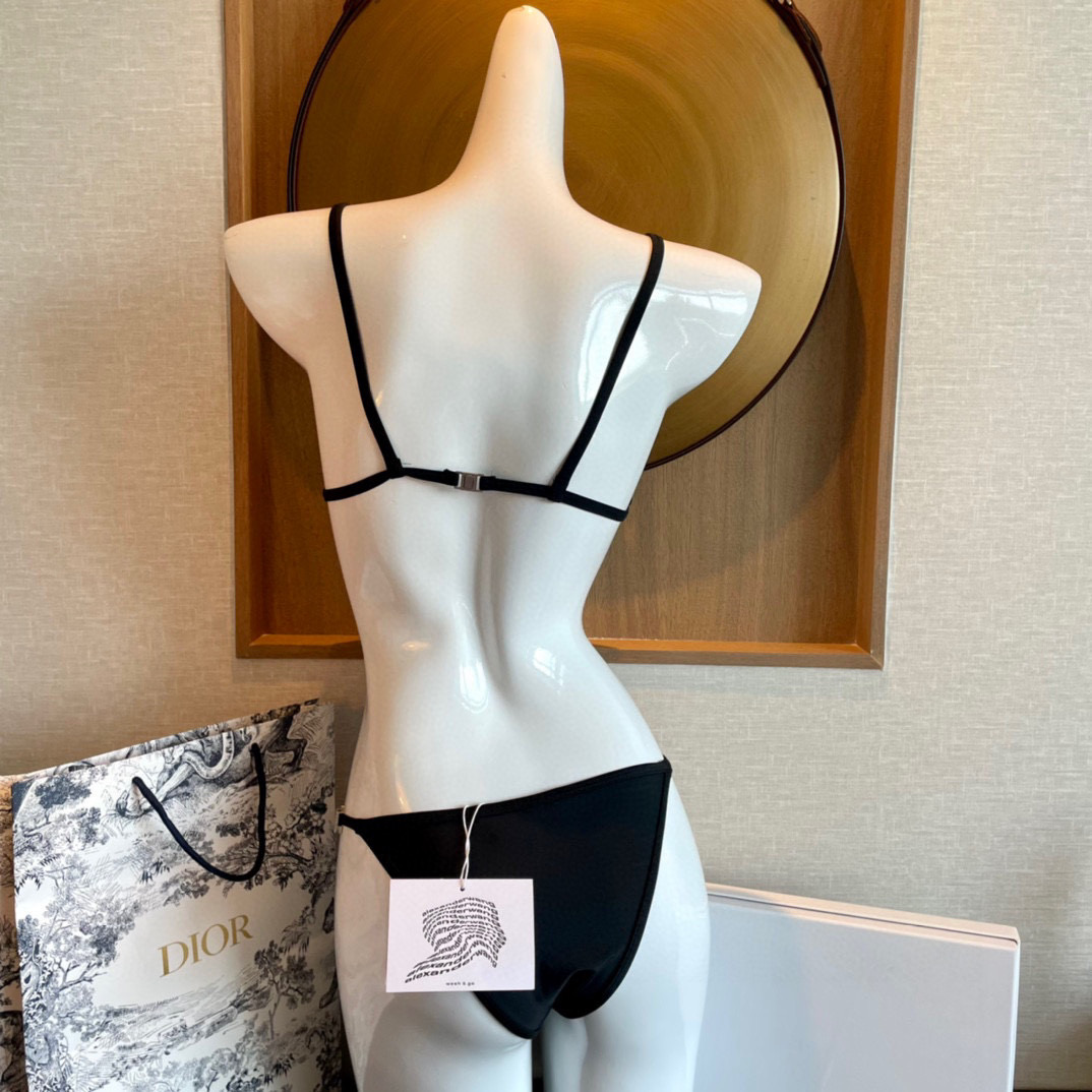 Alexander wang bikini