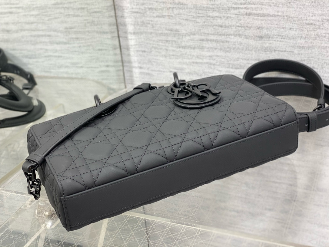 DIOR D-joy bags