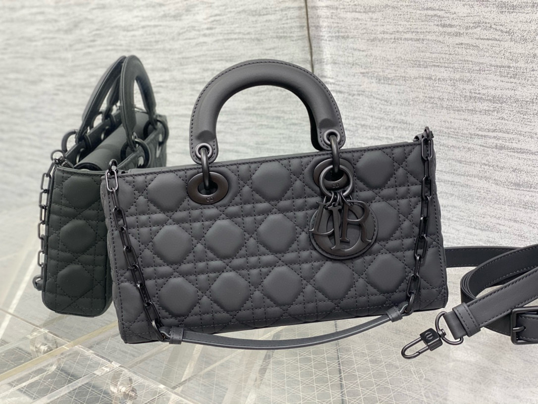 DIOR D-joy bags