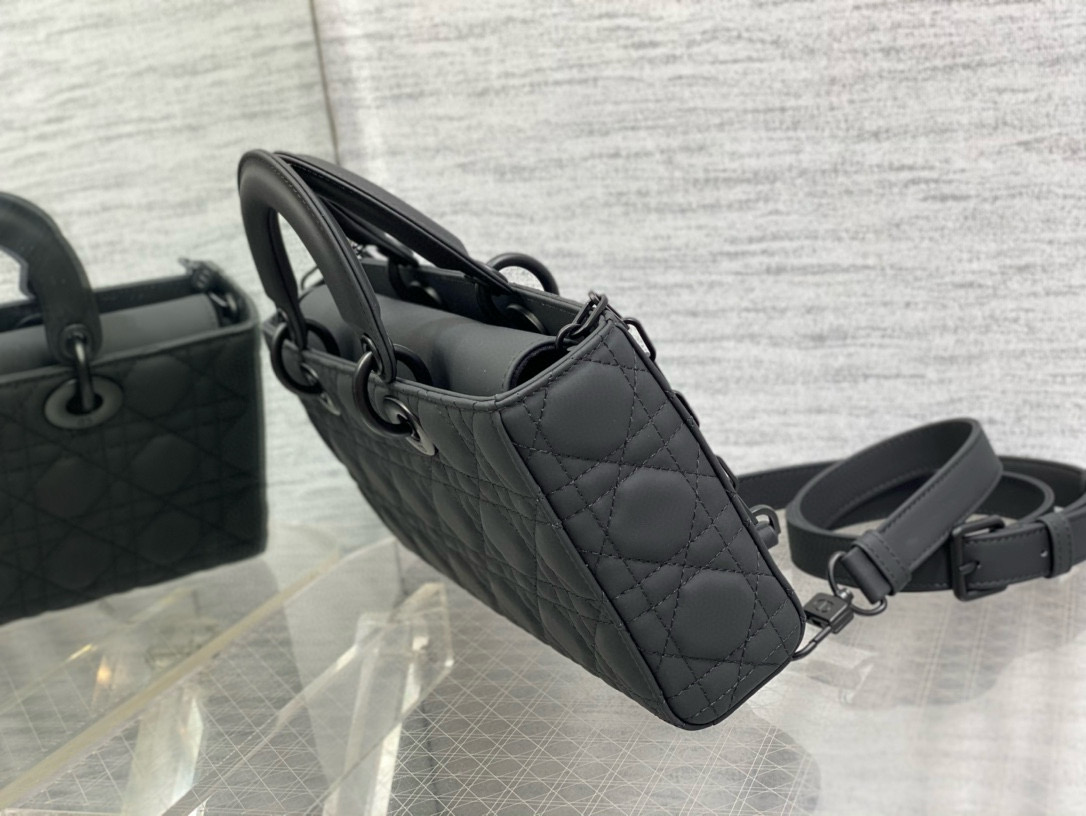 DIOR D-joy bags