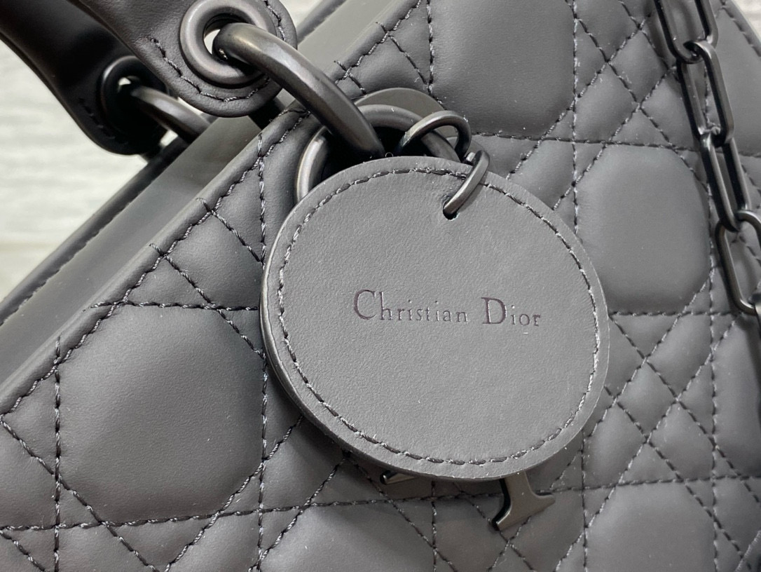 DIOR D-joy bags