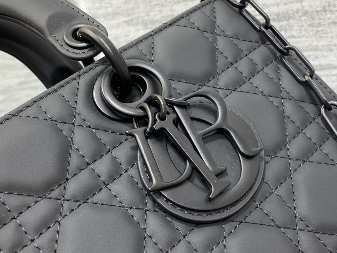 DIOR D-joy bags