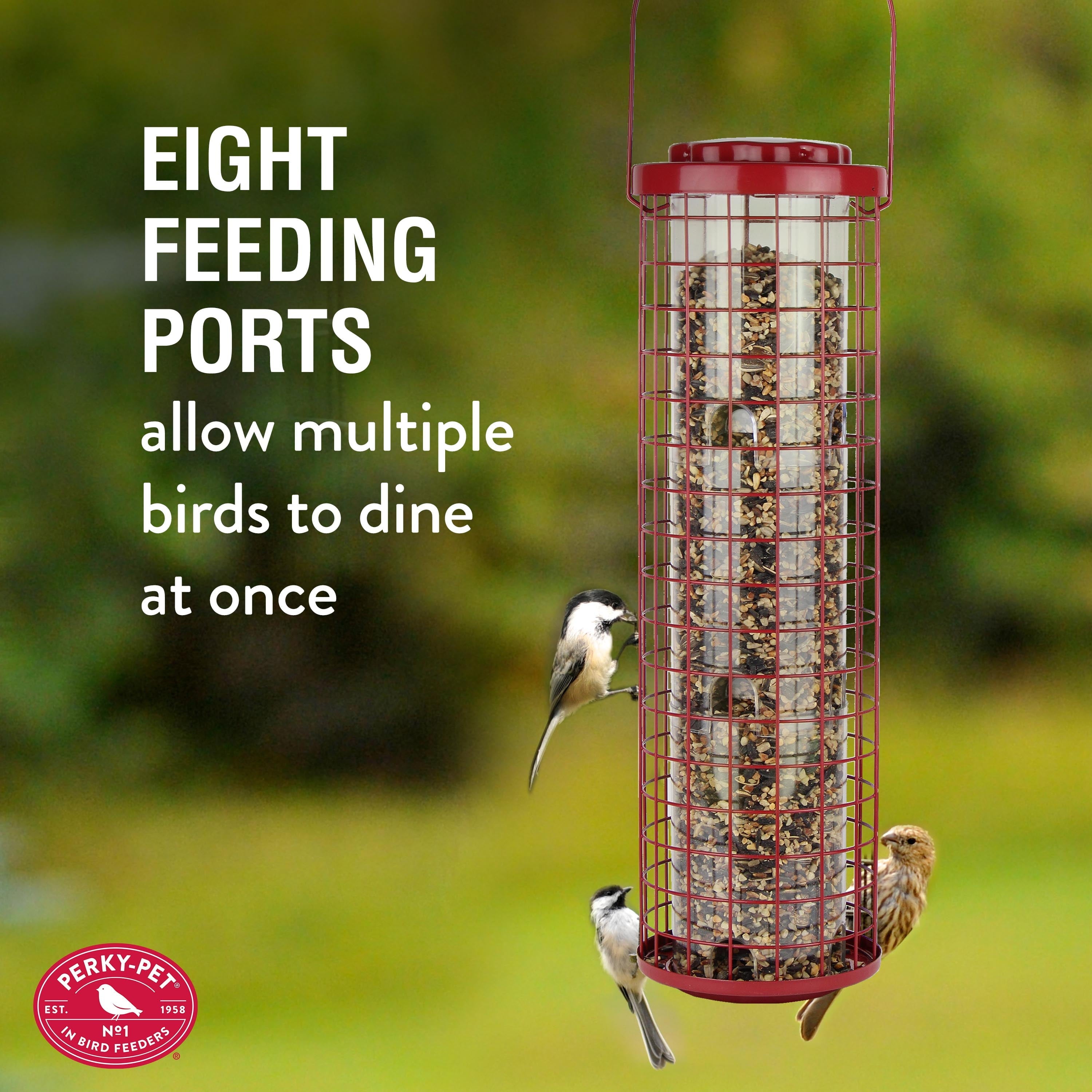 Perky-Pet Red Squirrel Resistant Easy Wild Bird Tube Feeder - 4 lb
