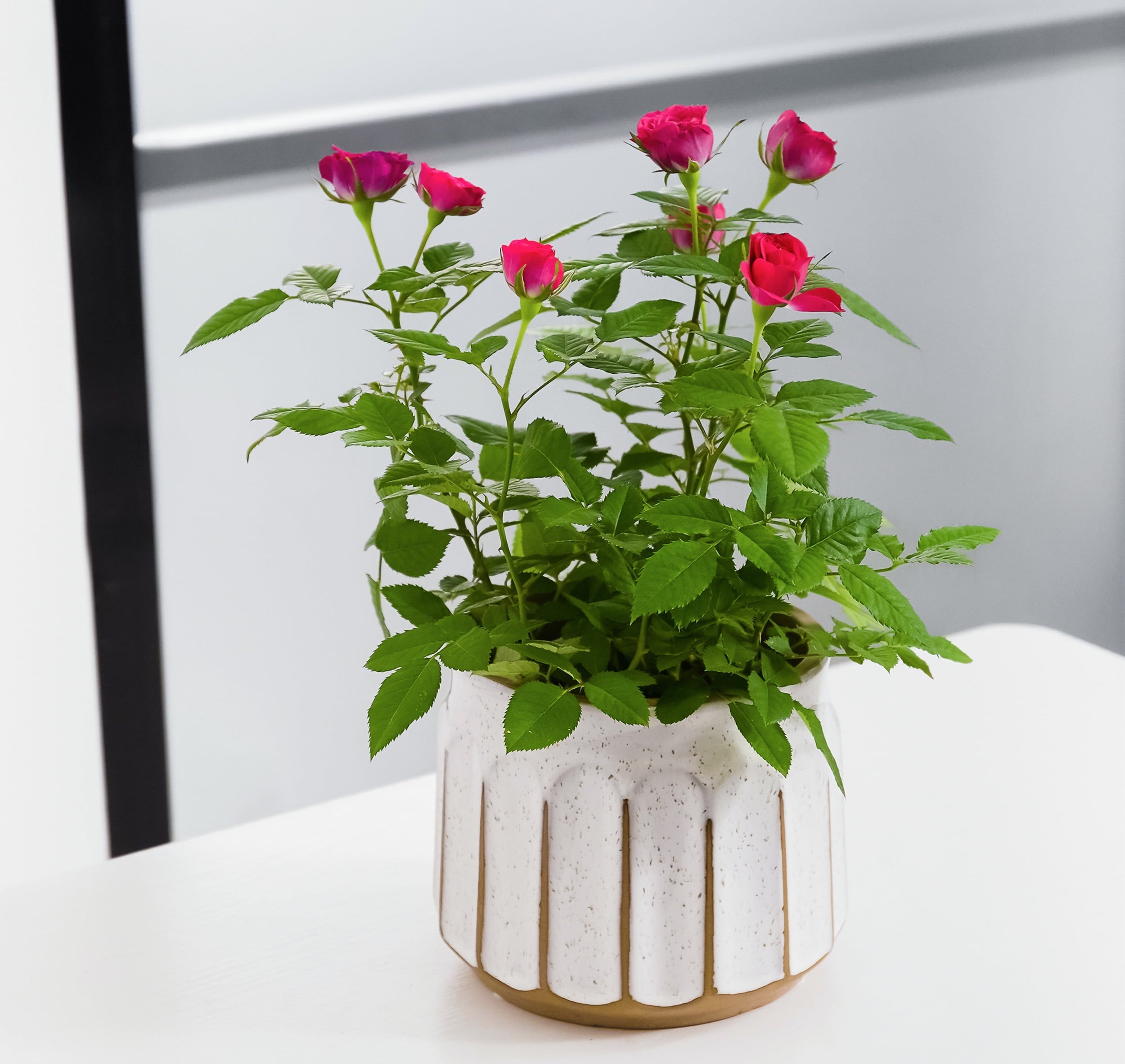 Better Homes & Gardens Pottery 6