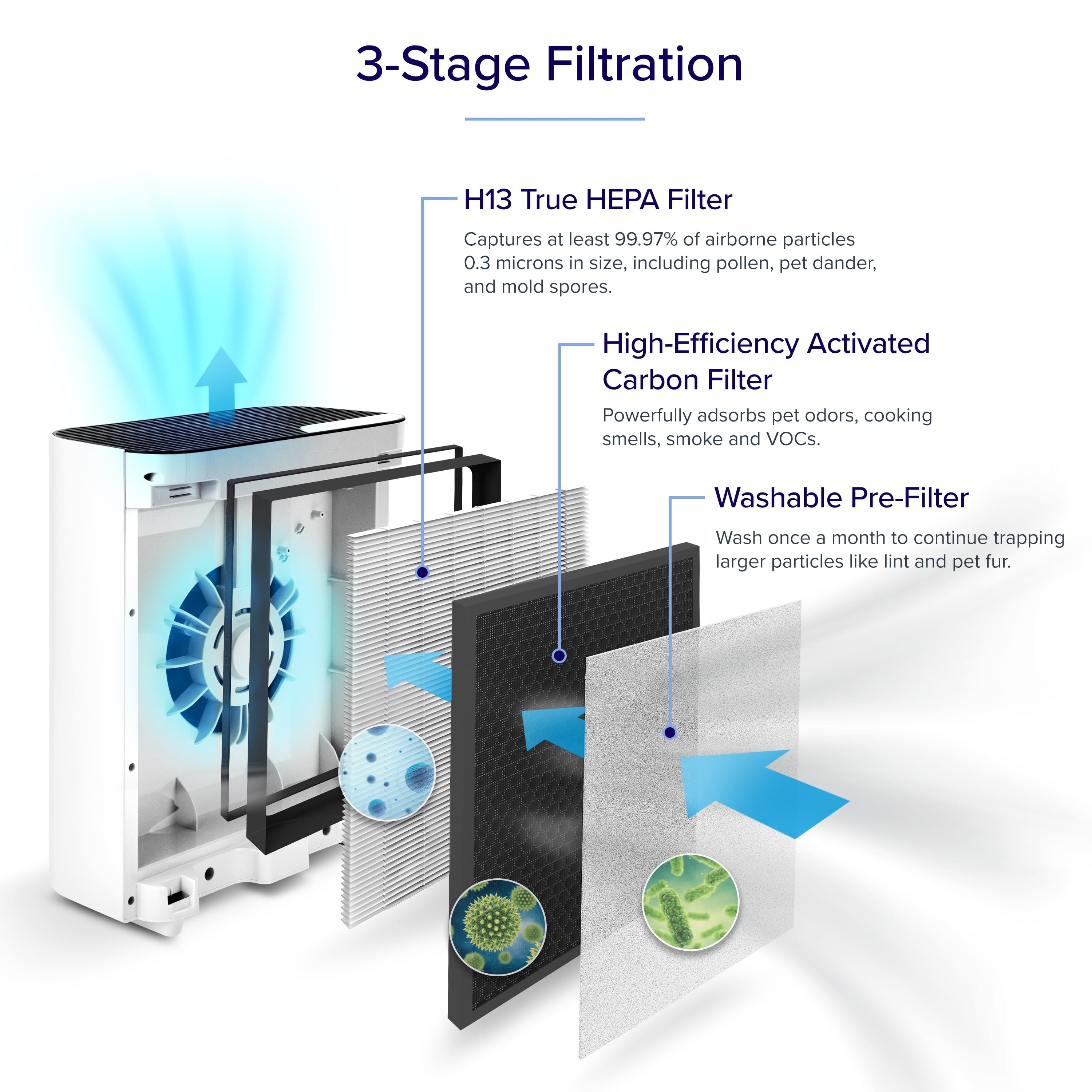 Levoit Air Purifier Vital 100 Plus, Compact True HEPA for Allergies and Asthma, with Washable Filter, (Exclusive Bonus Filter)