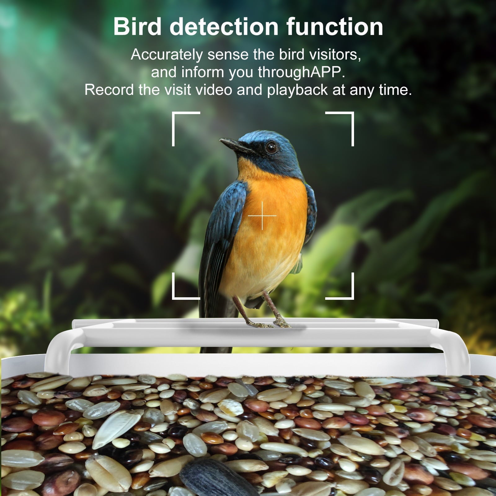 Bird Feeder with Camera,YBLOC Bird House,AI Smart Bird Feeder,Camera 1080P HD Video,AI Identify Bird,Wifi ,Blue