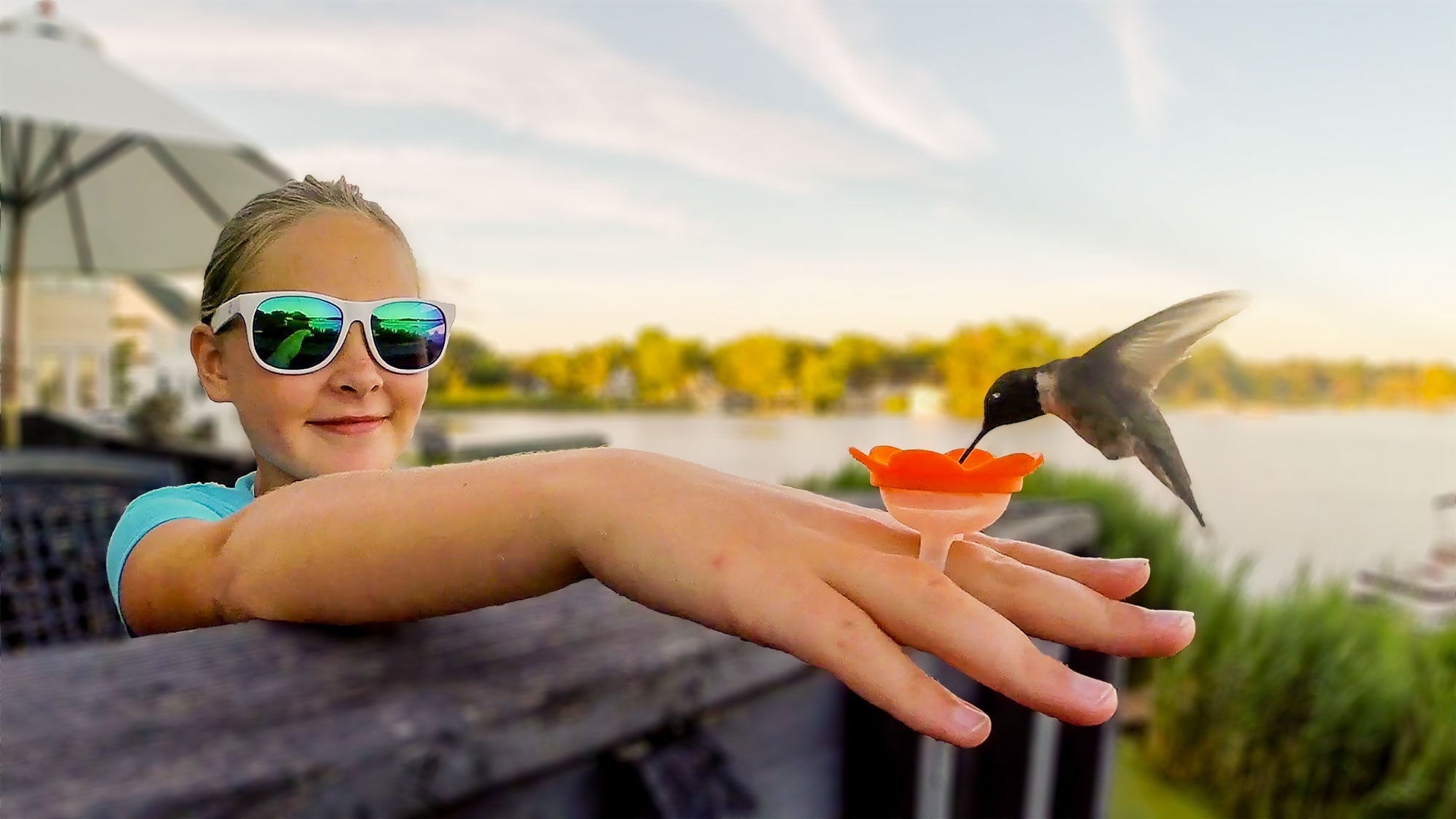 ZUMMR Hummingbird Ring Feeder (Red)