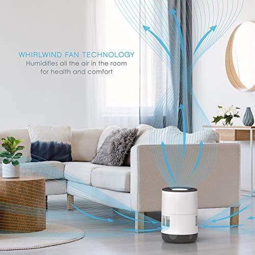 Pure Enrichment® MistAire™ Eva - Mist-Free Evaporative Humidifier (2.8L) with