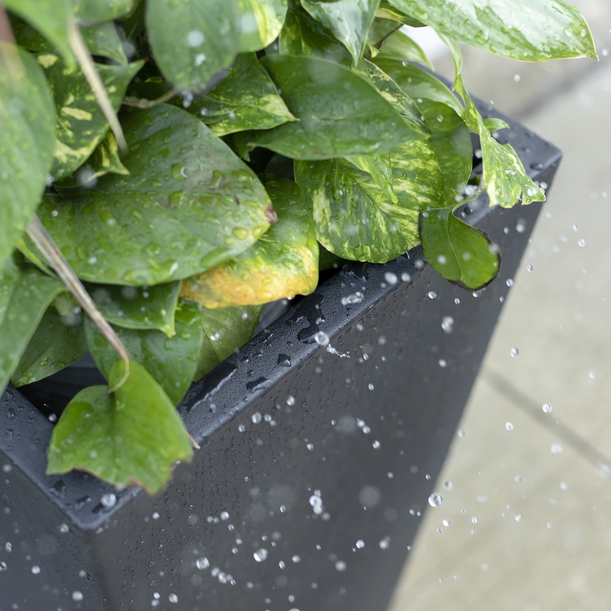 Step2 Tremont 2pk Plastic Black Square Planter 15