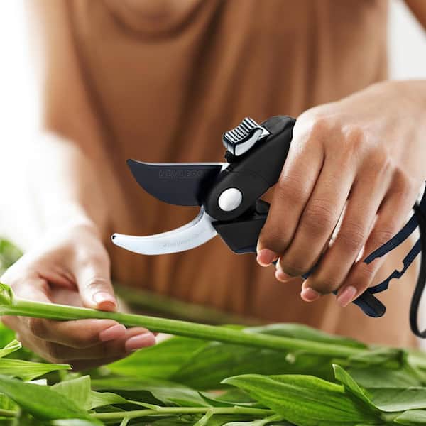 Professional Stainless Steel Heavy-Duty Black Garden Bypass Pruning Shears