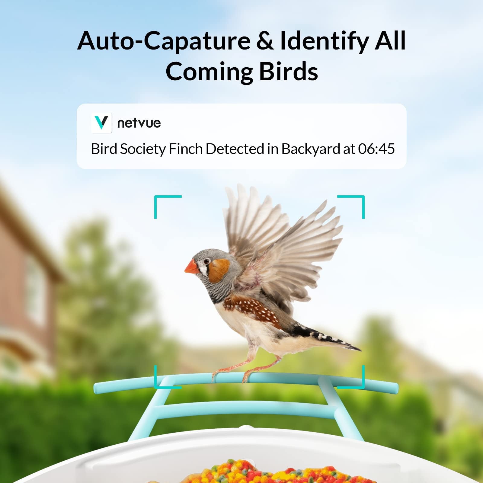 Bird Feeder with Camera, Netvue Birdfy Smart Bird Feeder with AI Identify 6000+ Bird Species Phone App Night Vision for Bird Watching, Gifts for Parents, Blue (Birdfy AI+Solar)