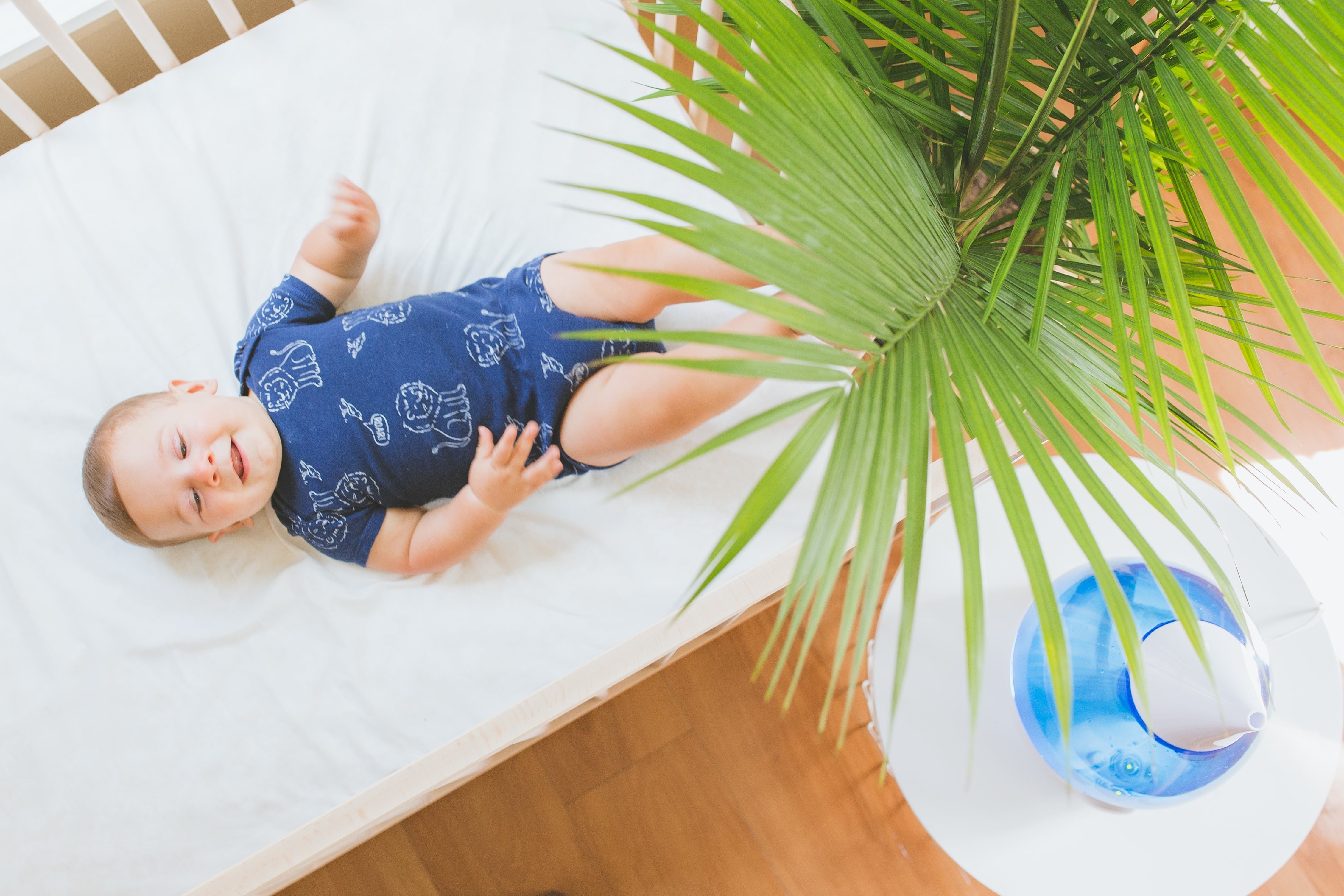 Crane Drop Ultrasonic Cool Mist Humidifier, 1.0 Gallon, 24 Hour Run Time, Whisper Quiet, 500 Sq. Ft. Coverage, Blue/White