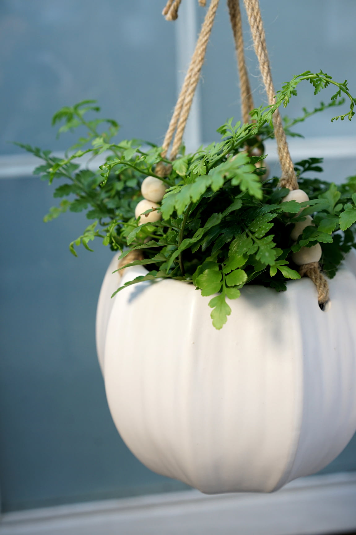 Better Homes & Gardens Pottery 8