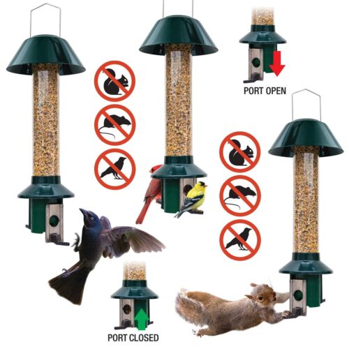 Roamwild PestOff Squirrel Proof Wild Bird Feeder Mixed Seed Sunflower Heart V...