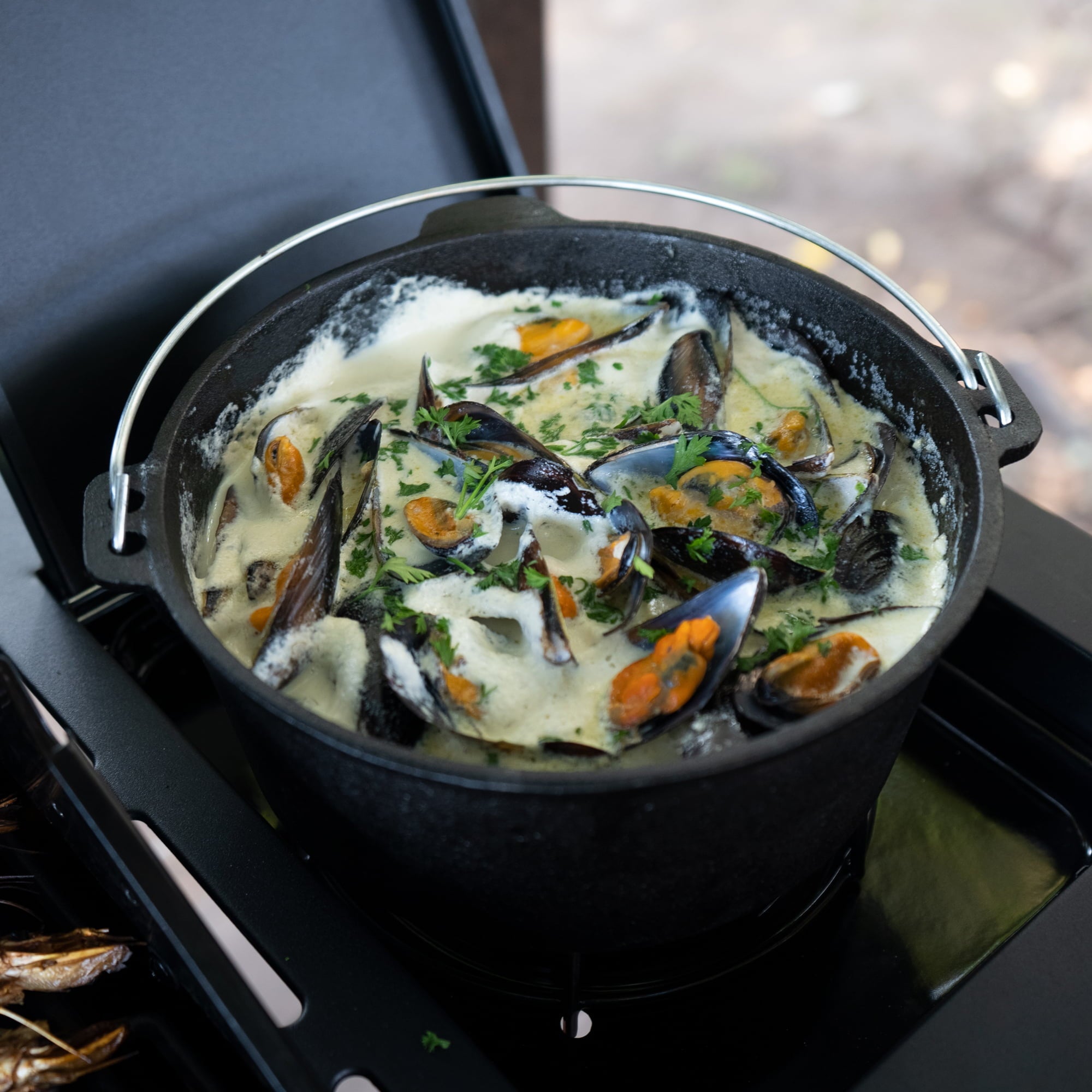 Megamaster 6-Burner Propane Gas Grill With Side Burner