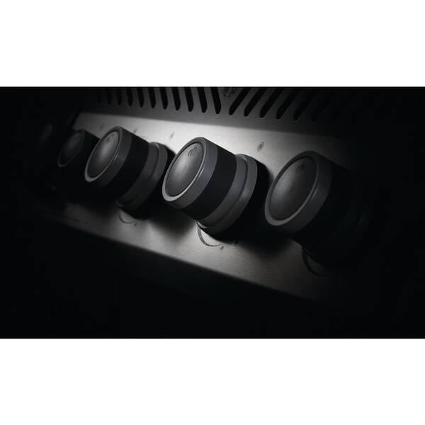 Rogue 4-Burner Propane Gas Grill with Infrared Side Burner in Stainless Steel