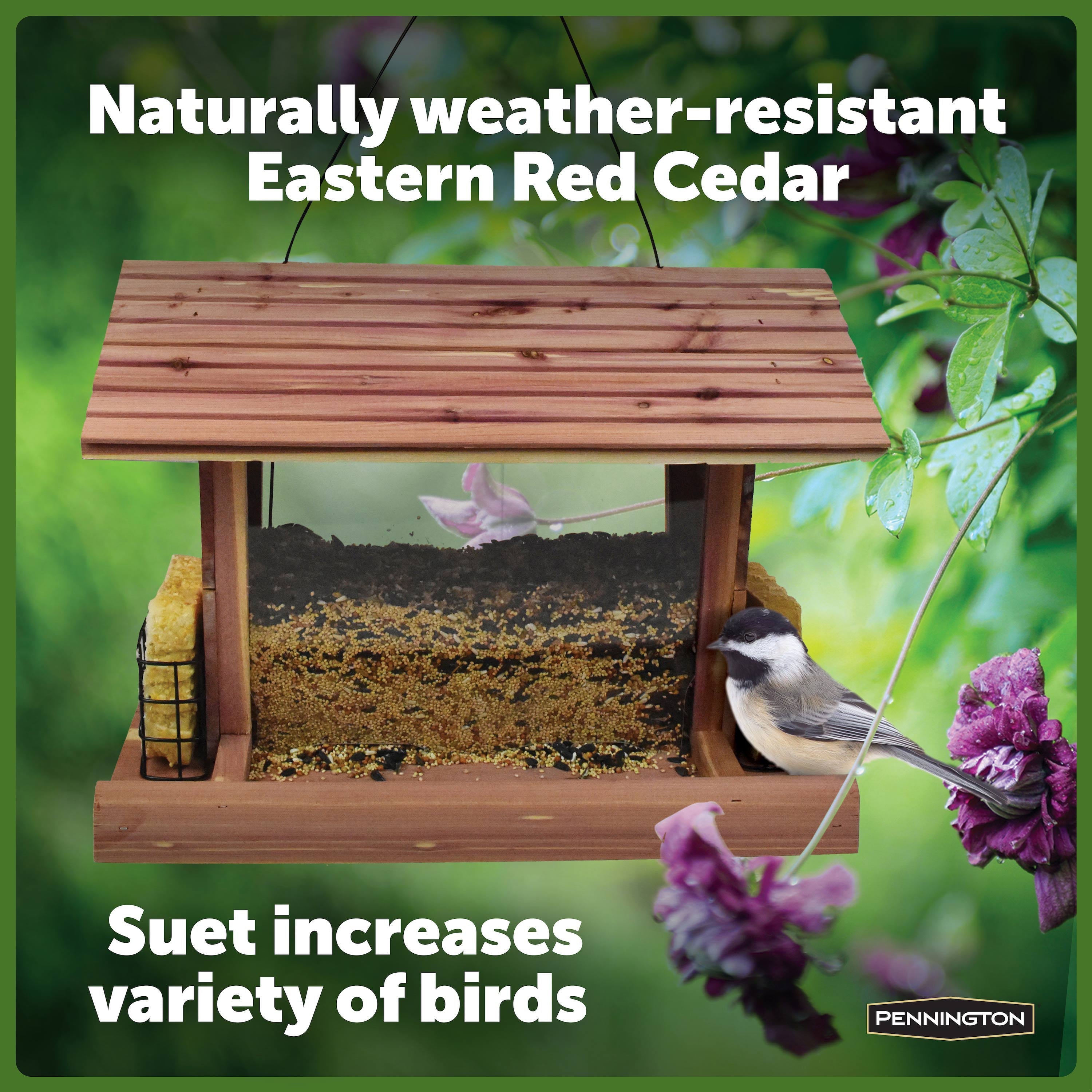 Pennington Red Cedar Snack Shack Wild Bird Feeder, 3.75 lb. Capacity
