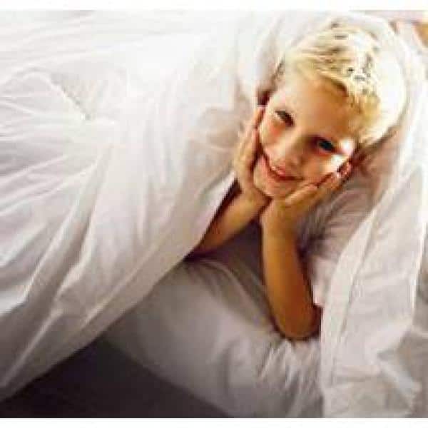 Bed Bug, Allergy and Waterproof Twin XL Mattress Zip Cover