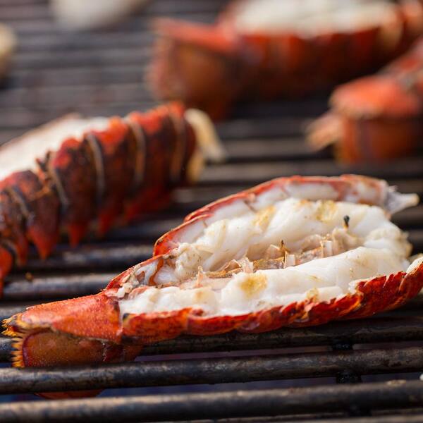 Summit S-670 6-Burner Natural Gas Grill in Stainless Steel with Built-In Thermometer and Rotisserie