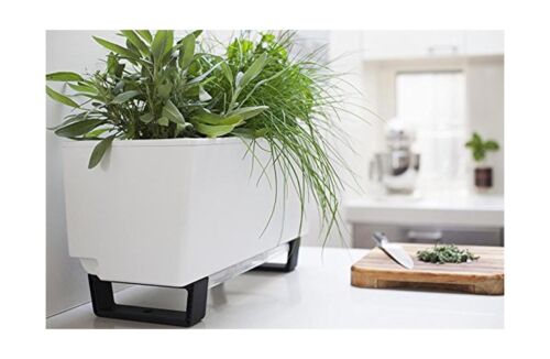 Glowpear Self-Watering Mini Bench Planter - 23.6" in Pot, UV Stable, Scalable...