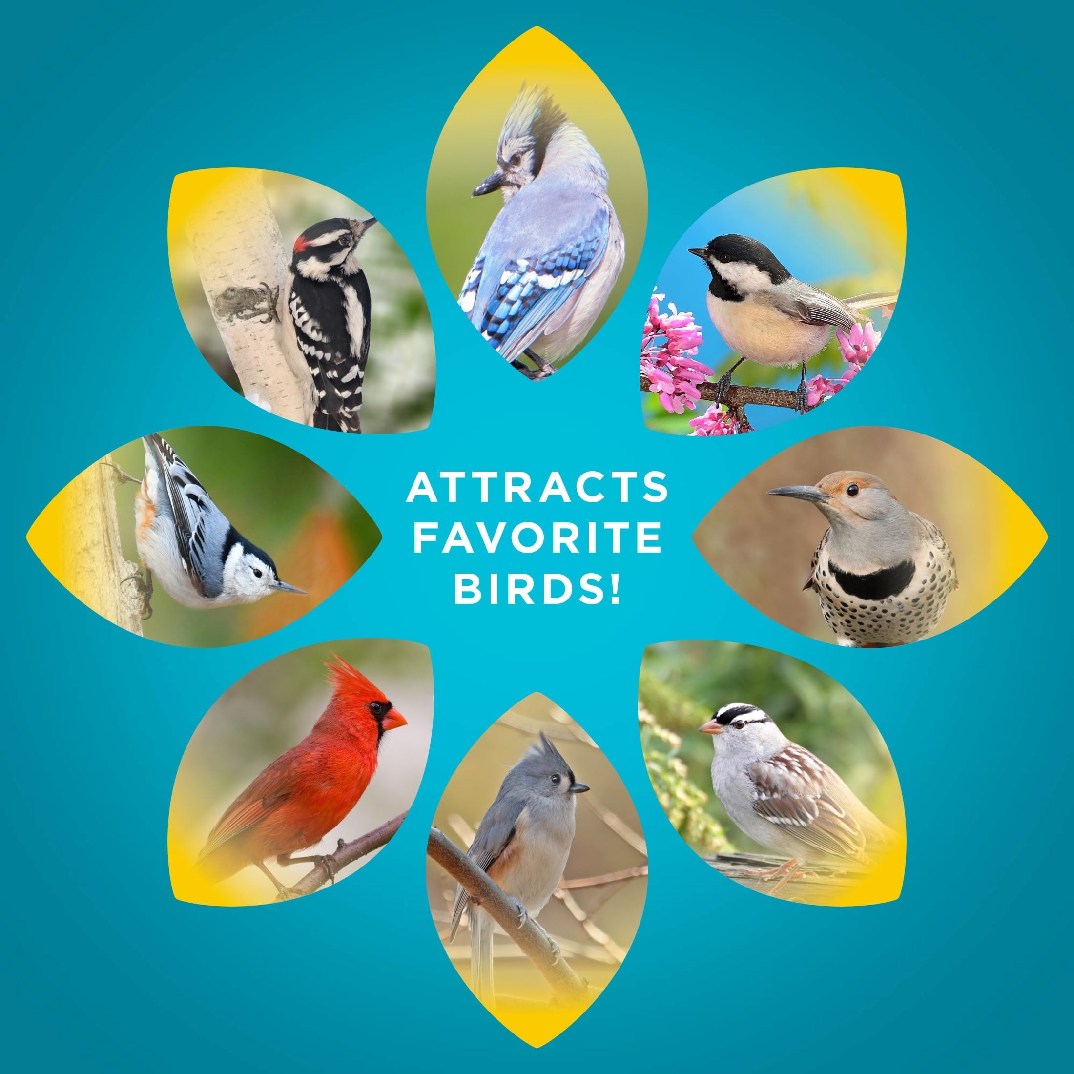 Audubon Park Snack Stack Wild Bird Feeder, Black Weather Resistant Metal