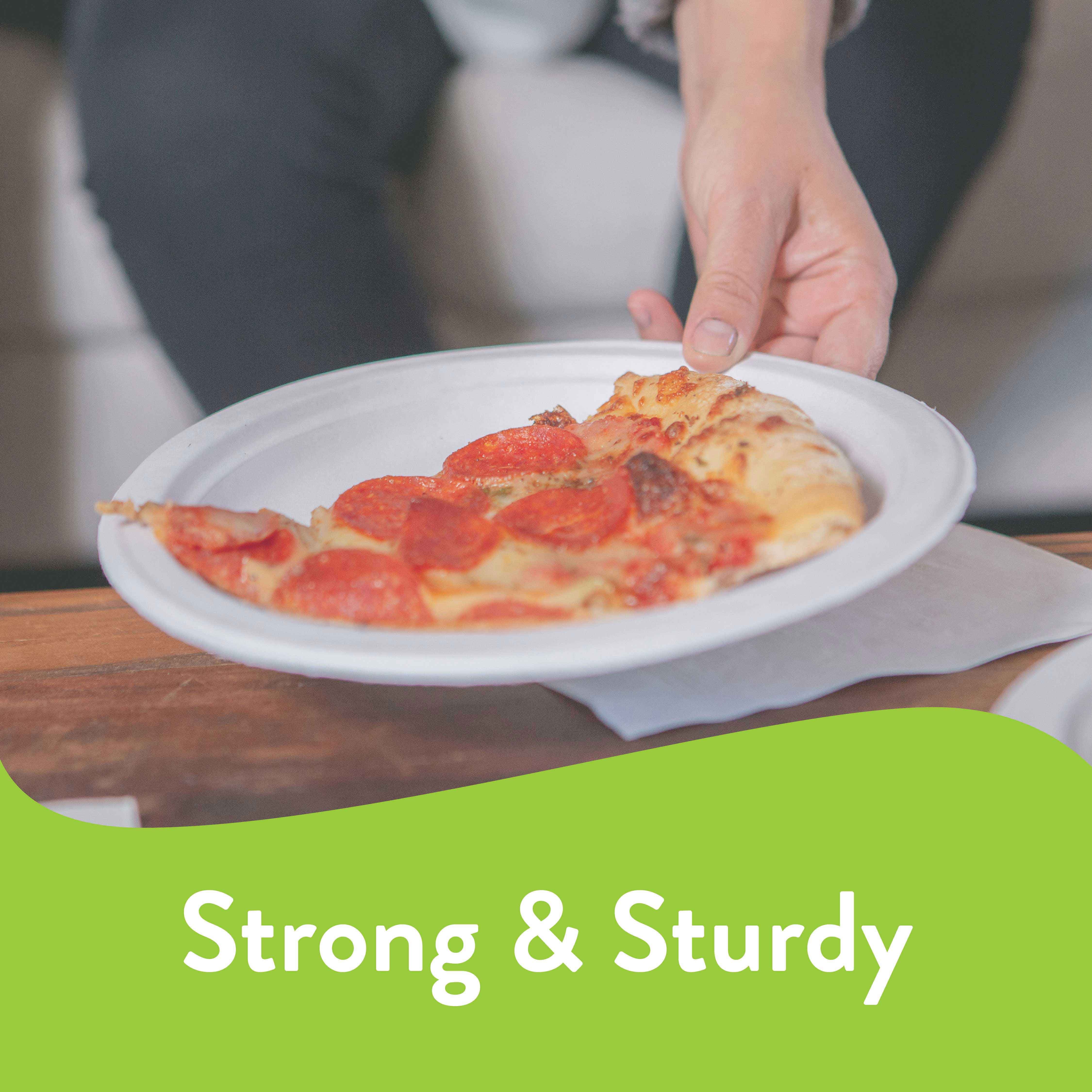 Chinet Classic® Premium Dinner Paper Plates,  White, 10 3/8”, 40 Count