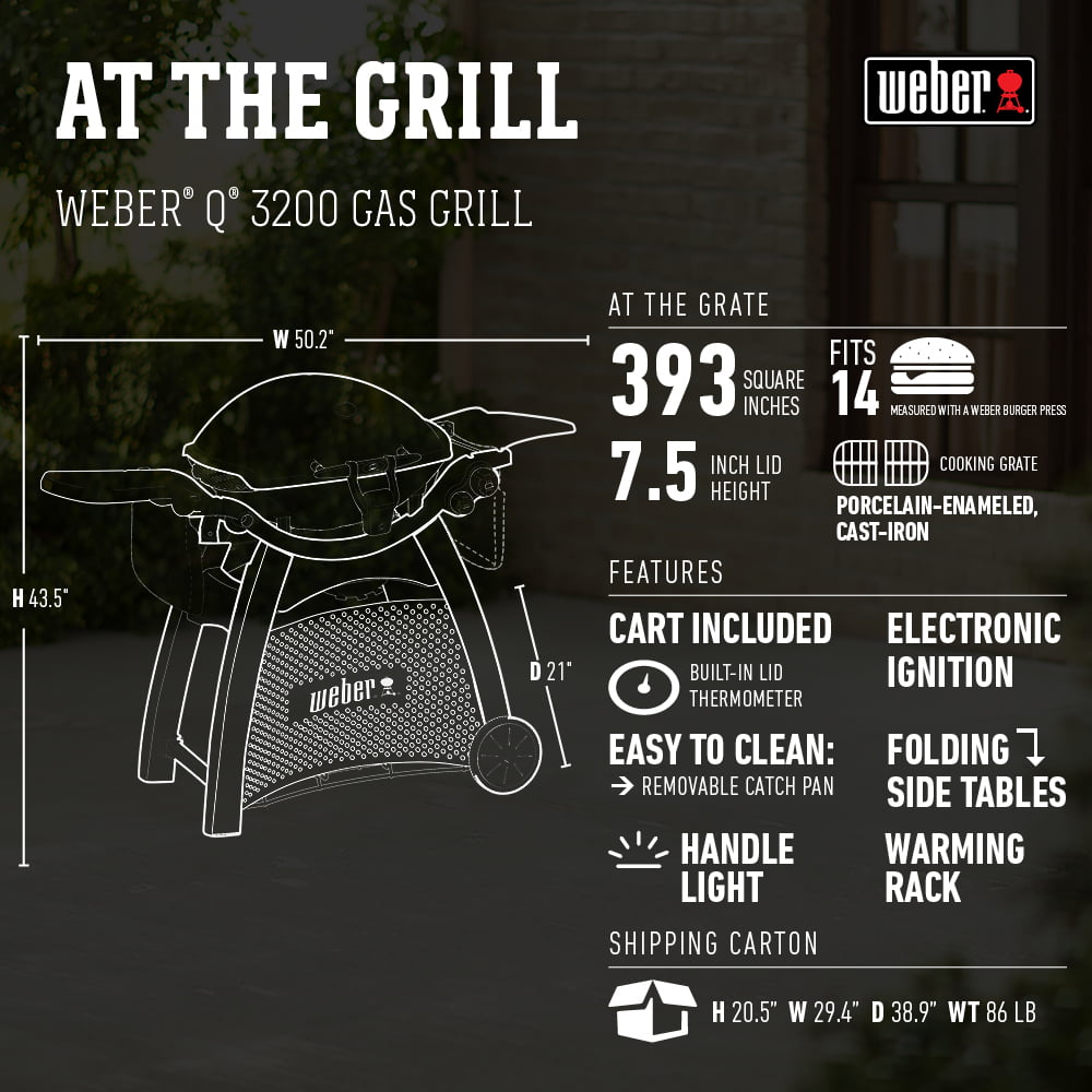 Q 3200 Liquid Propane Gas Grill in Titanium