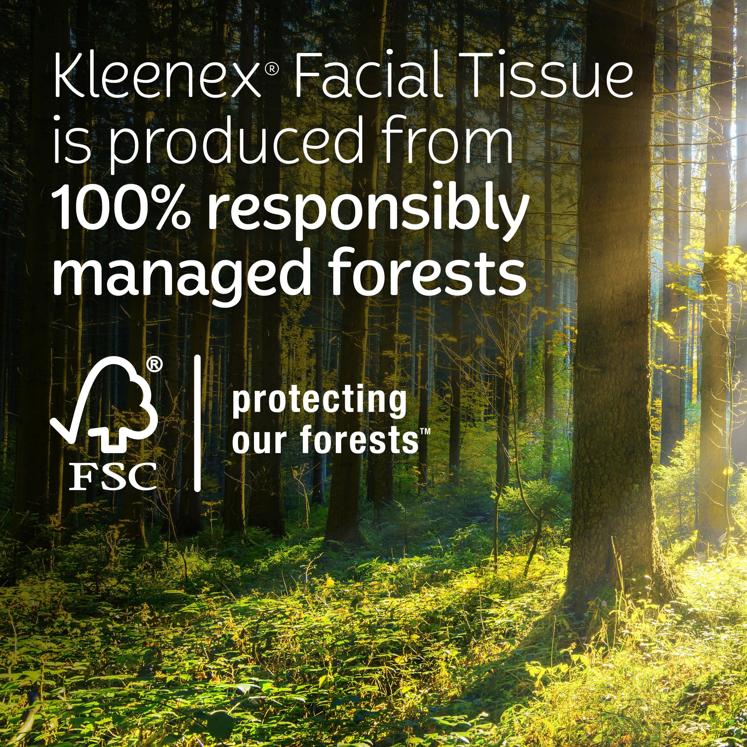 Kleenex Trusted Care Facial Tissues, 1 Flat Box, 72 White Tissues per Box, 2-Ply