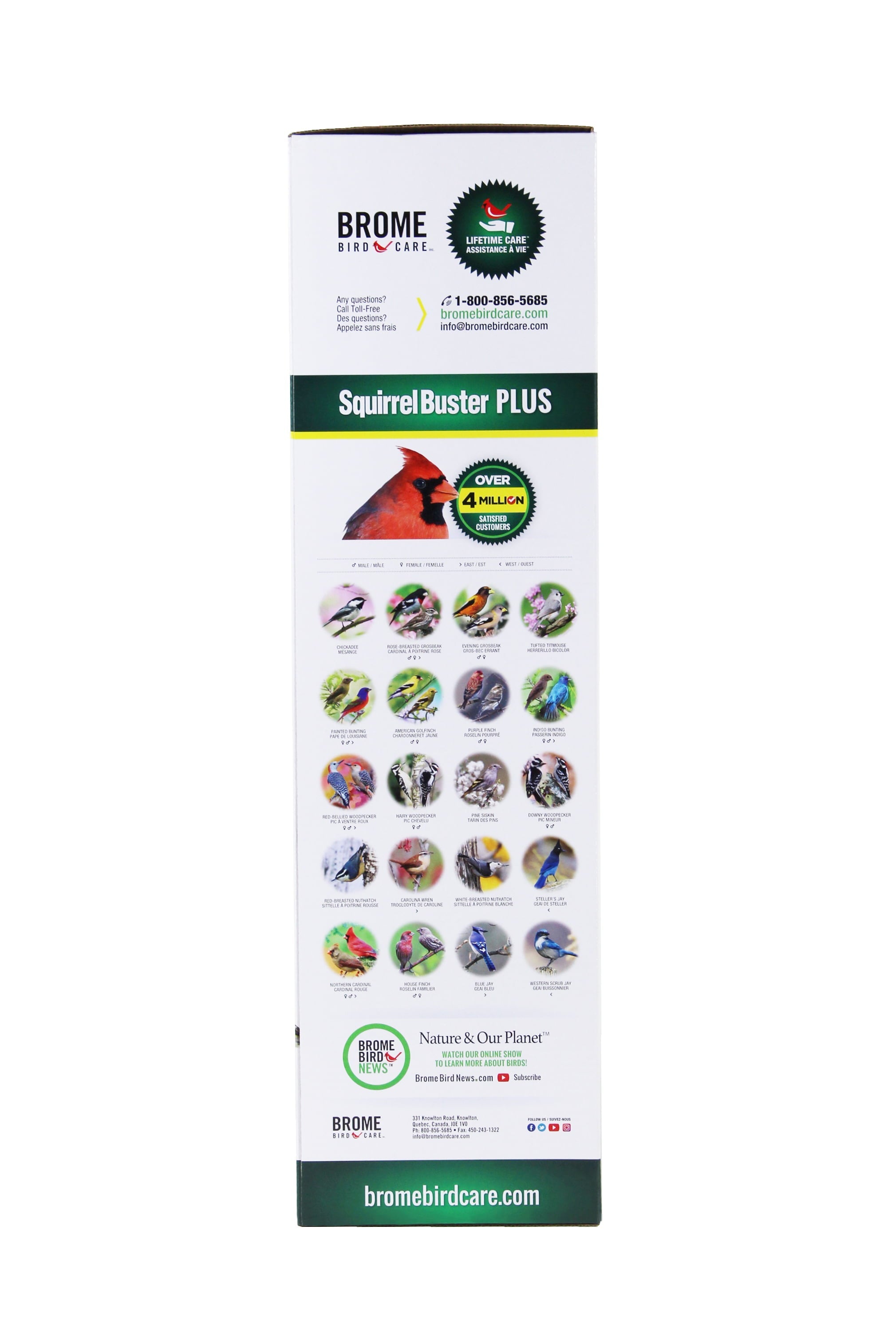 Brome Squirrel Buster Plus Bird Feeder with Cardinal Perch Ring, Squirrel Proof