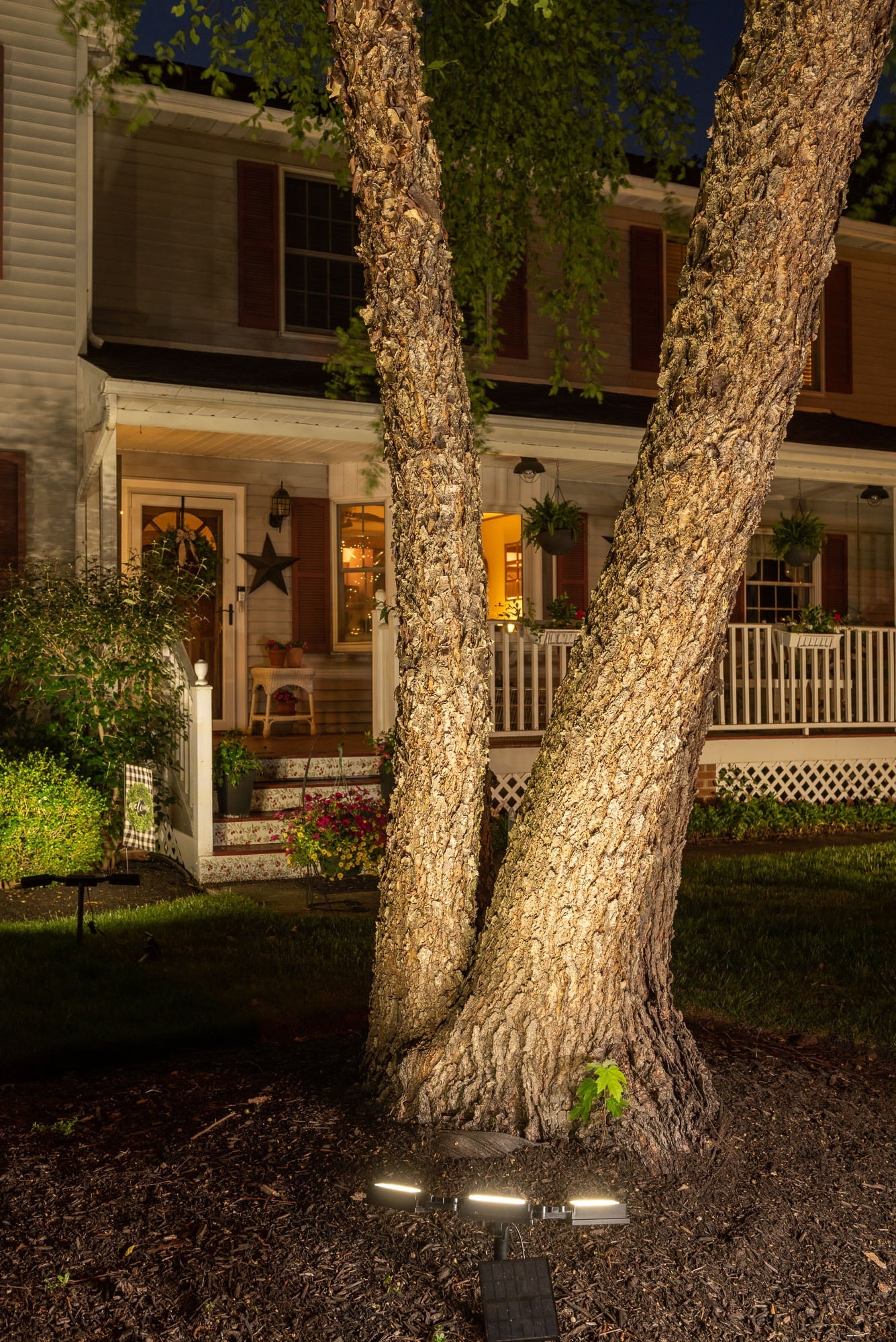 flexRAY Solar Powered LED Landscape Light