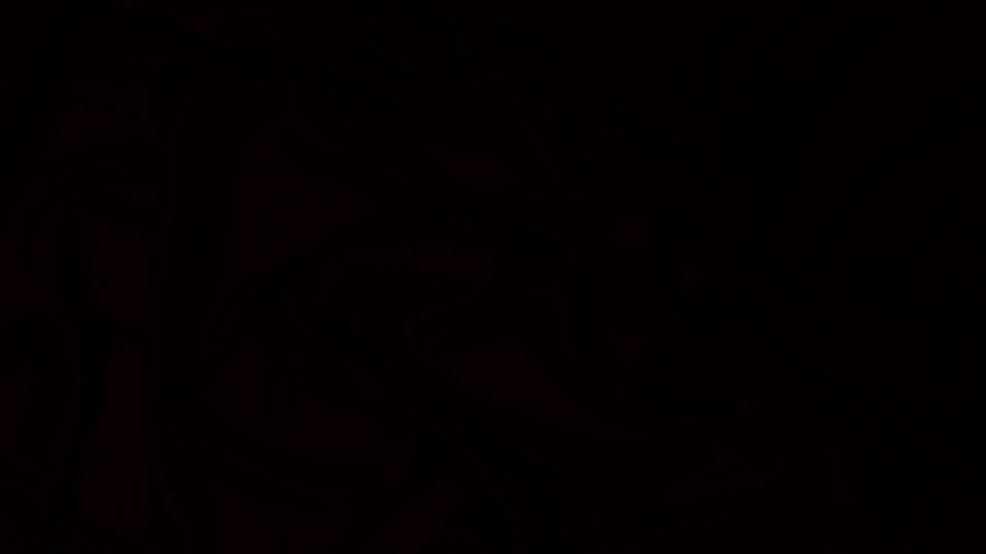 DHP Rosedale Metal Canopy Poster Bed Frame, Queen, Black