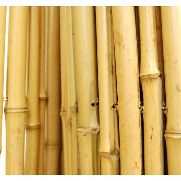 3/4 in. D x 6 ft. H x 8 ft. Natural Bamboo Garden Fence Decorative Rolled Fencing Panel