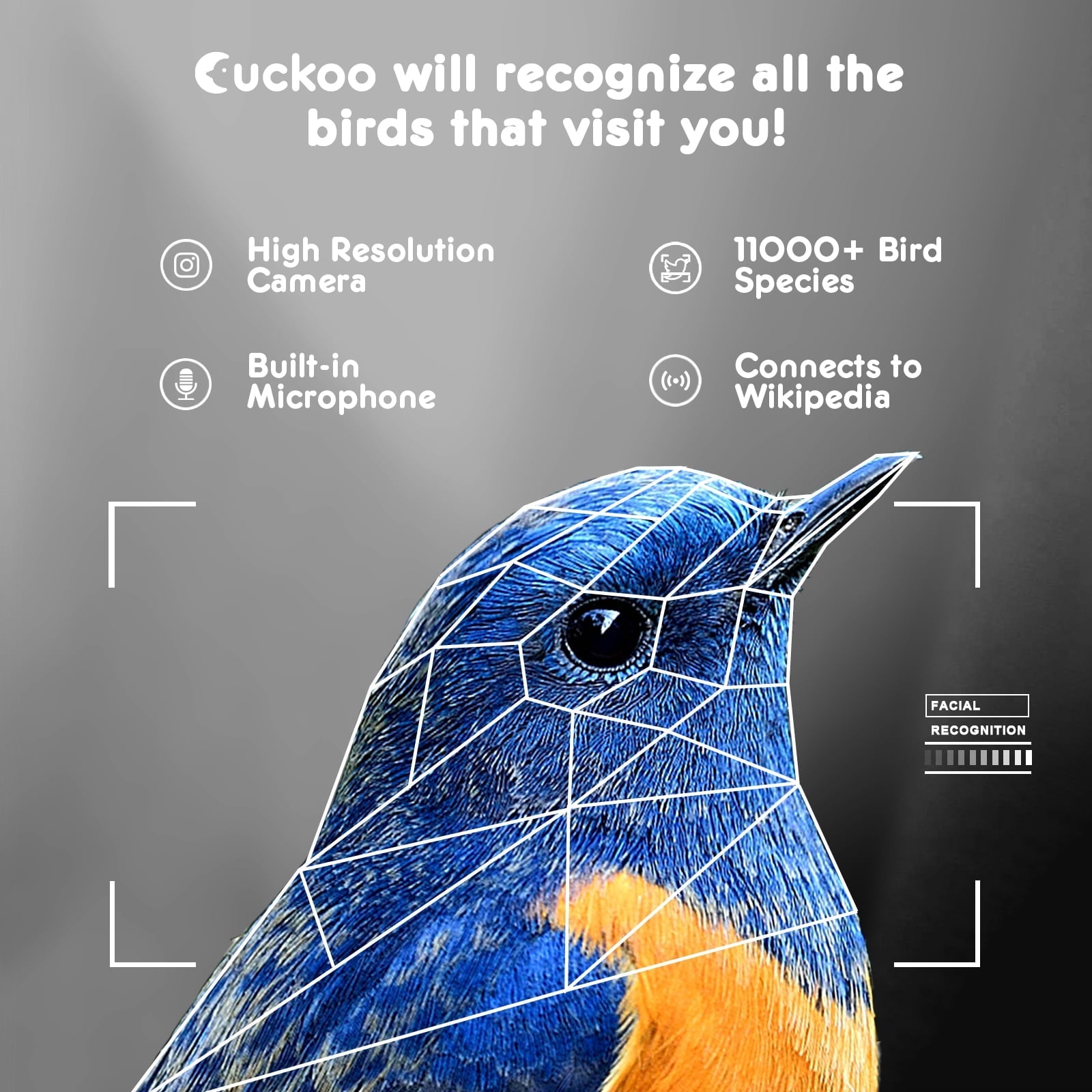 Cuckoo Smart Bird Feeder with Camera, Bird Camera with 1080P HD Video, APP Real-Time Notifications, AI Identify Bird, WiFi Connection & Solar Panel