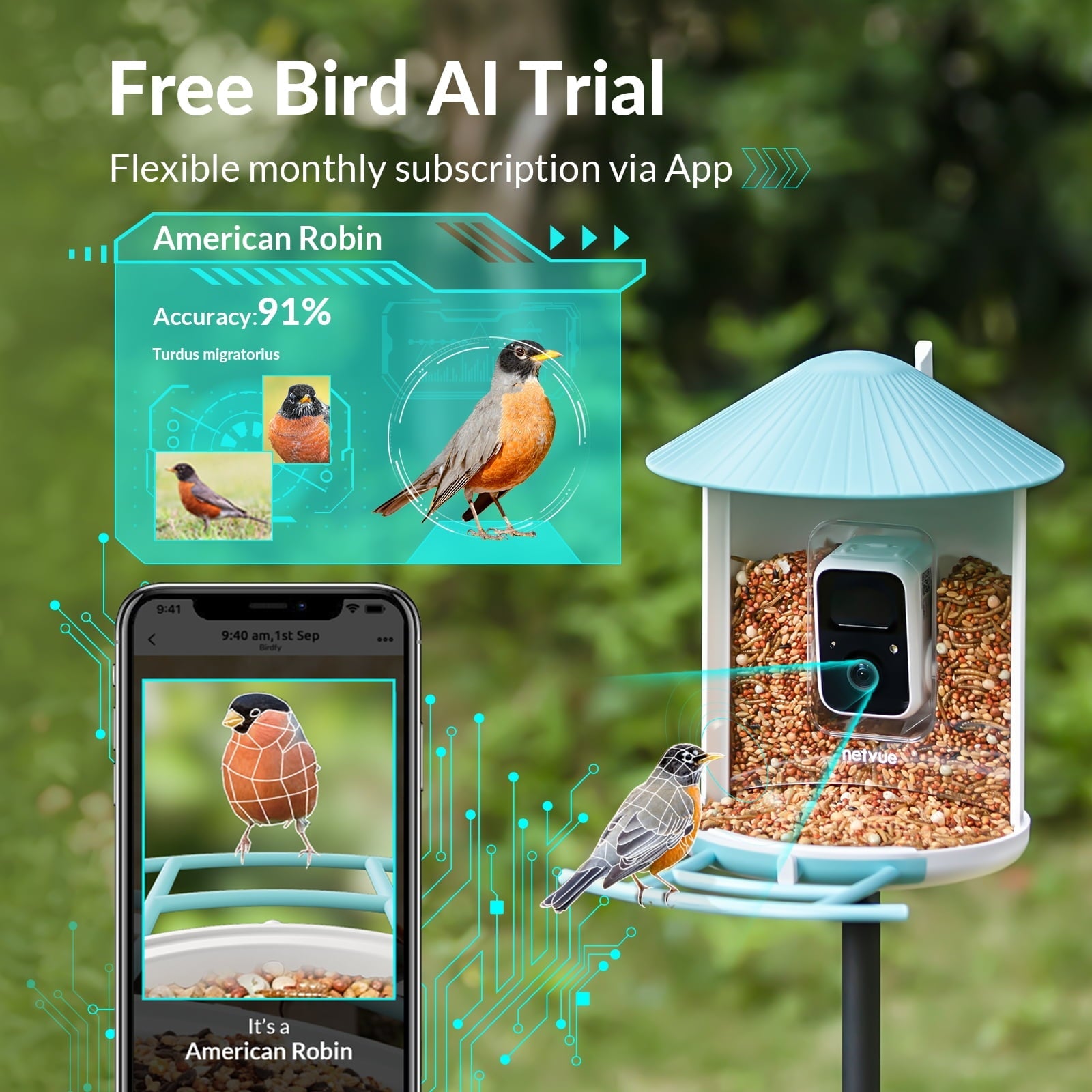 Bird Feeder with Camera, Netvue Birdfy Smart Bird Watching Camera with Solar Panel, Blue(Lite+Solar)
