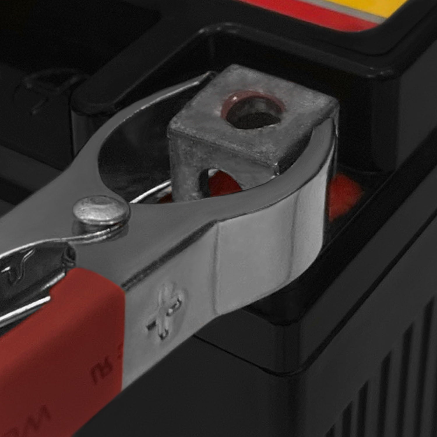 YTX4L-BS SLA Replaces RideOn Mower ATV Quad Buggy + 12V 1Amp Charger